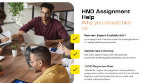 HND Assignment Help: Your Ultimate Guide to Success